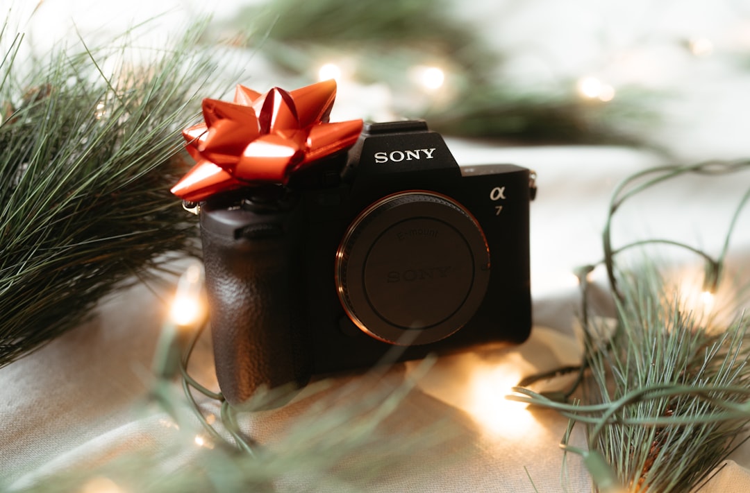 Celebrate Love and Style: The Ultimate Gift Guide for Gen Z Fashion Enthusiasts